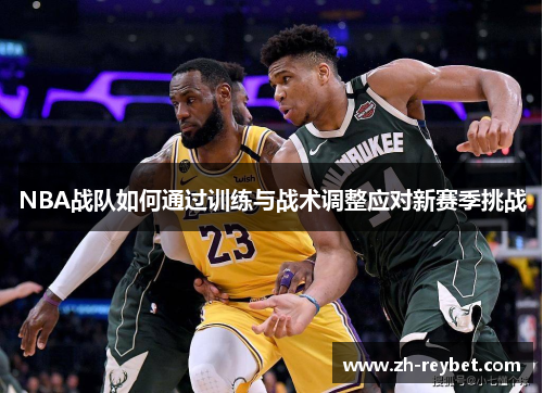 NBA战队如何通过训练与战术调整应对新赛季挑战